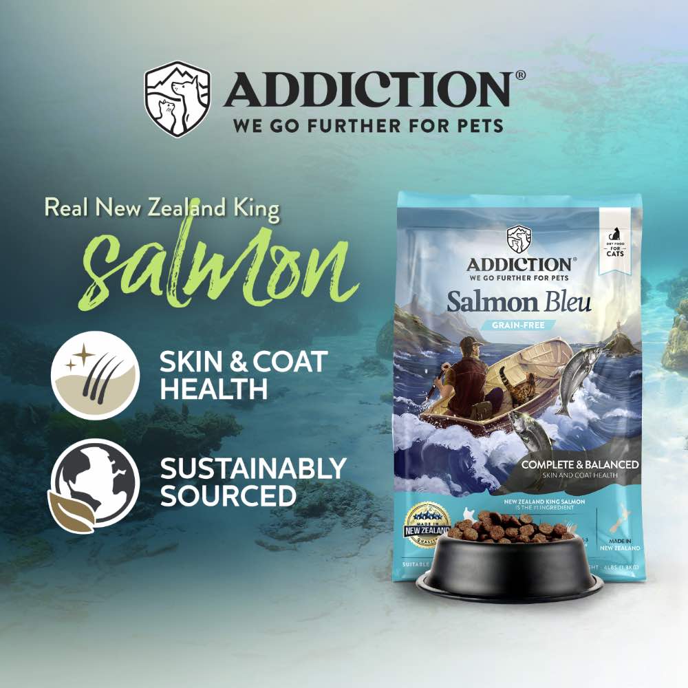 Addiction Salmon Bleu Grain-Free Dry Cat Food | Kohepets