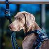 Boss & Olly Active Dog Harness (Forest Plaids)