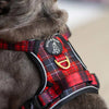 Boss & Olly Active Dog Harness (Lumberjack Plaids)