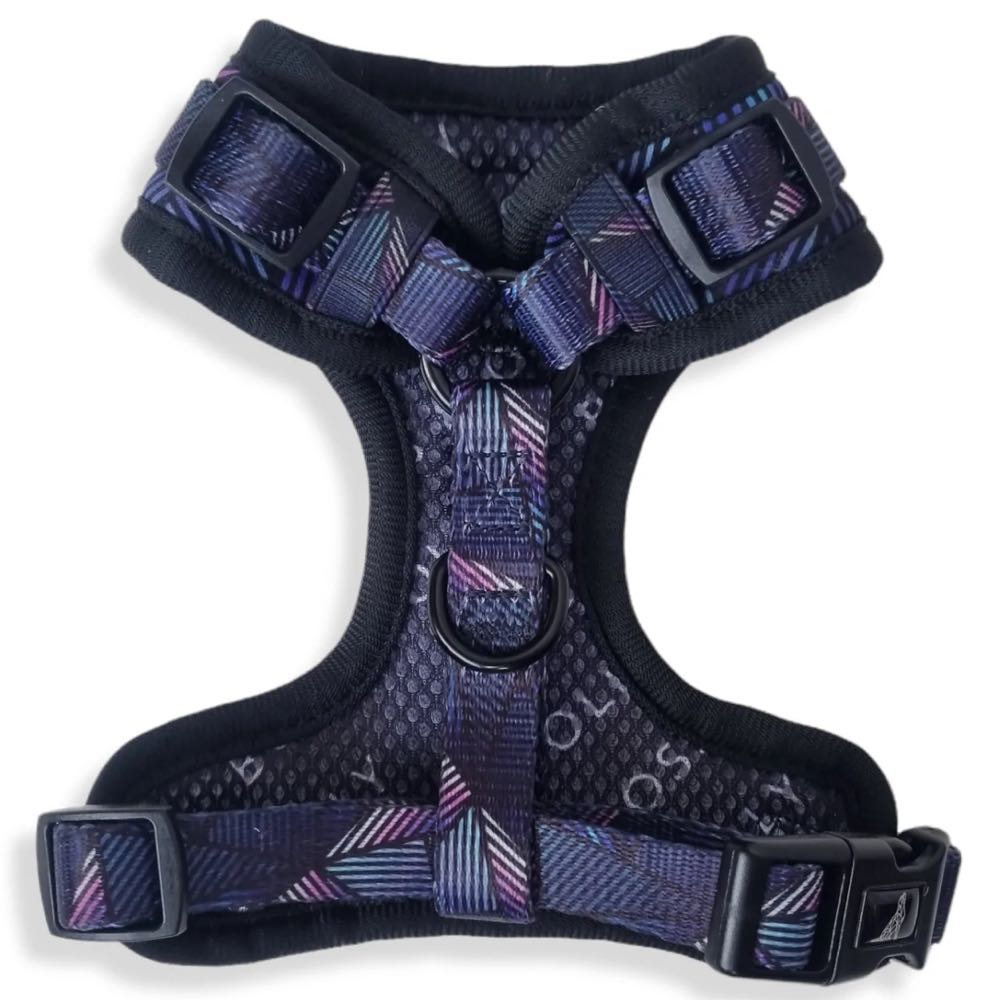 Boss & Olly Adjustable Dog Harness (Midnight Dreams) Kohepets