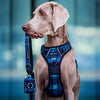 Boss & Olly Convertible Multi-Functional Dog Leash (Forest Plaids)