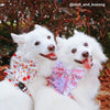 Boss & Olly Sailor Bow For Dogs (Autumn Leaves)