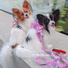 Boss & Olly Sailor Bow For Dogs (Fruity Sorbet)