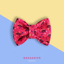 Bowtix Handmade Cat Collar With Removable Bowtie - Sweet Tooth