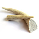 Chew Time Whole Antler Dog Chew