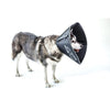 Comfy Cone Cat & Dog E-Collar - Kohepets