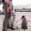 DOG Copenhagen Urban Trail Dog Leash (Orange Sun)