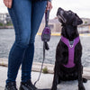 DOG Copenhagen Urban Trail Dog Leash (Black)