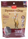 Cloud Star Dynamo Dog Pumpkin & Ginger Tummy Soft Chews Dog Treats 5oz