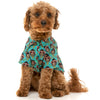 10% OFF: FuzzYard Button Up Shirt For Dogs (Gor-illz)