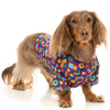 10% OFF: FuzzYard Button Up Shirt For Dogs (Highscore)