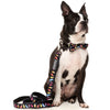 15% OFF: FuzzYard Dog Collar (Bed Bugs)