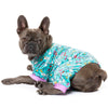 15% OFF: FuzzYard Dog Pyjamas (Sweet Dreams)