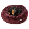 FuzzYard Eskimo Dog Bed (Merlot) - Kohepets