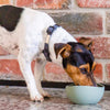 15% OFF: FuzzYard Life Silicone Dog Bowl (Myrtle Green)