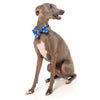Fuzzyard Pet Bow Tie (Supersize Me) - Kohepets