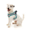 Fuzzyard Step-in Dog Harness (LL Cool Jaw$) - Kohepets