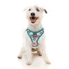 Fuzzyard Step-in Dog Harness (LL Cool Jaw$) - Kohepets