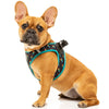 10% OFF: FuzzYard Step-In Dog Harness (Volt!)