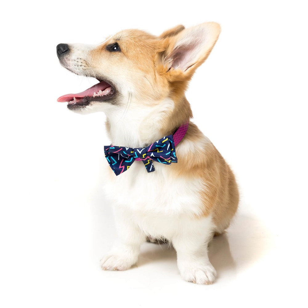 fuzzyard bow tie