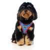 15% OFF: FuzzYard Supersize Me Dog Harness (Medium) - Kohepets