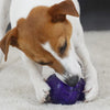 GiGwi Rolling Bell Ball Dog Toy