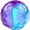 GiGwi Squeaky Ball Dog Toy (Purple/Blue)