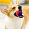 GiGwi Squeaky Ball Dog Toy (Blue/Orange)