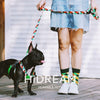 Hidream Profusion Dog X-Harness (Pop Art) - Kohepets