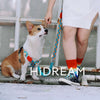 Hidream Profusion Dog X-Harness (Sunrise) - Kohepets