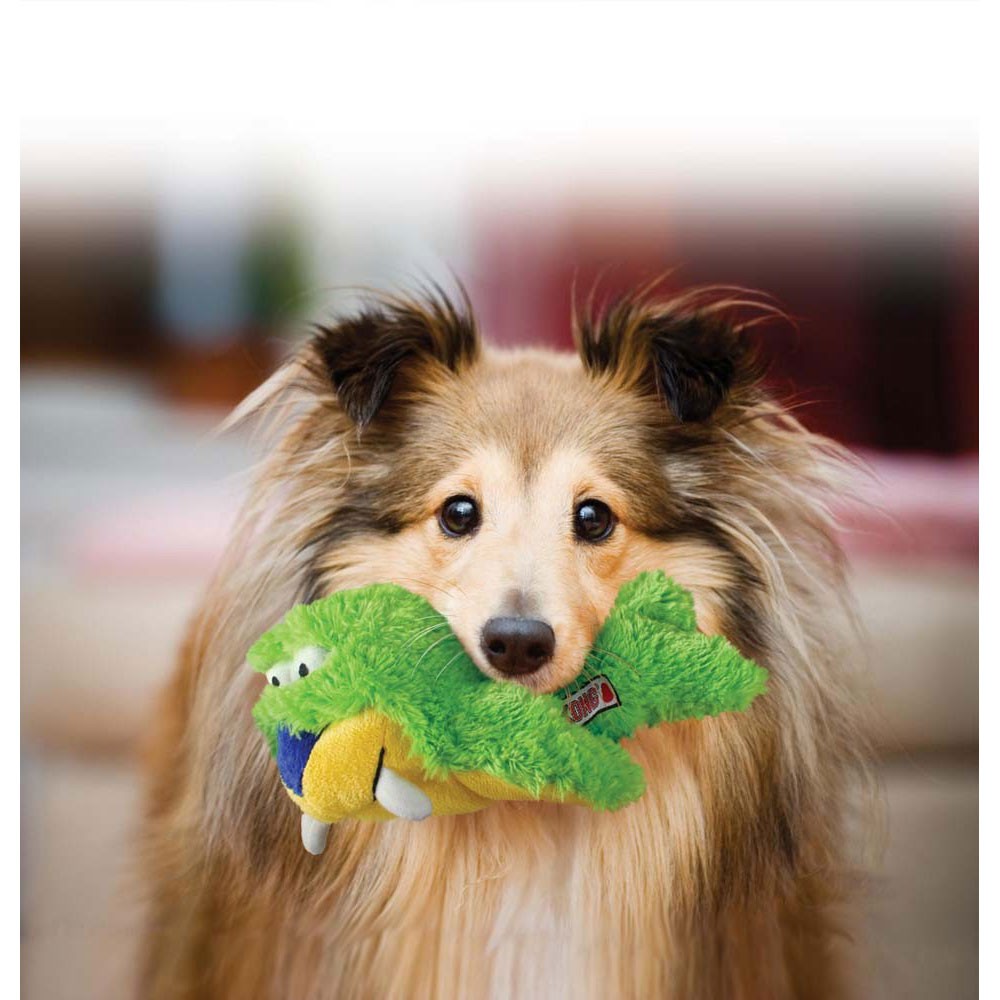 KONG Aqua Knots Walrus Dog Toy Small/Medium | Kohepets