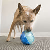 KONG Rewards Ball Treat Dispensing Dog Toy - Kohepets