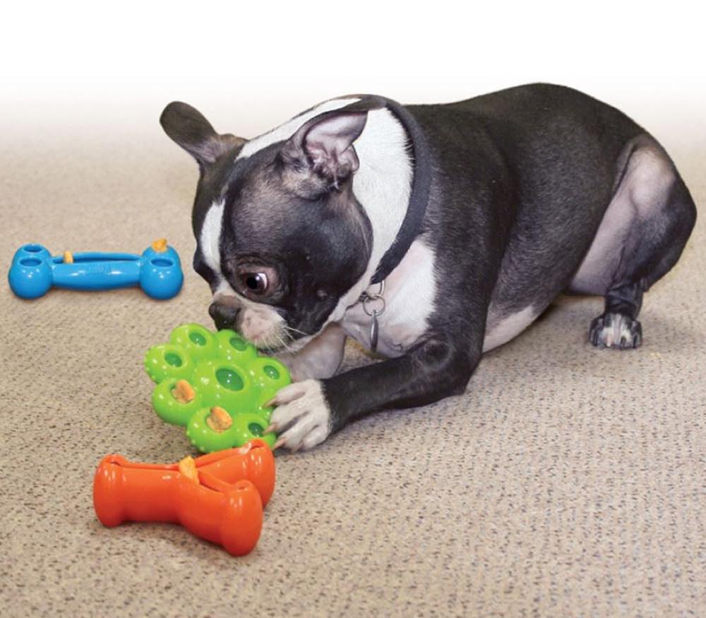 Kong Quest Starpod Treat Dispensing Dog Toy Large