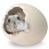 Marukan Egg Shape House For Hamsters (S)