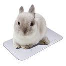 Marukan Cool Aluminium Plate For Rabbits