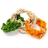 Oxbow Enriched Life Twisty Rings For Small Animals - Kohepets