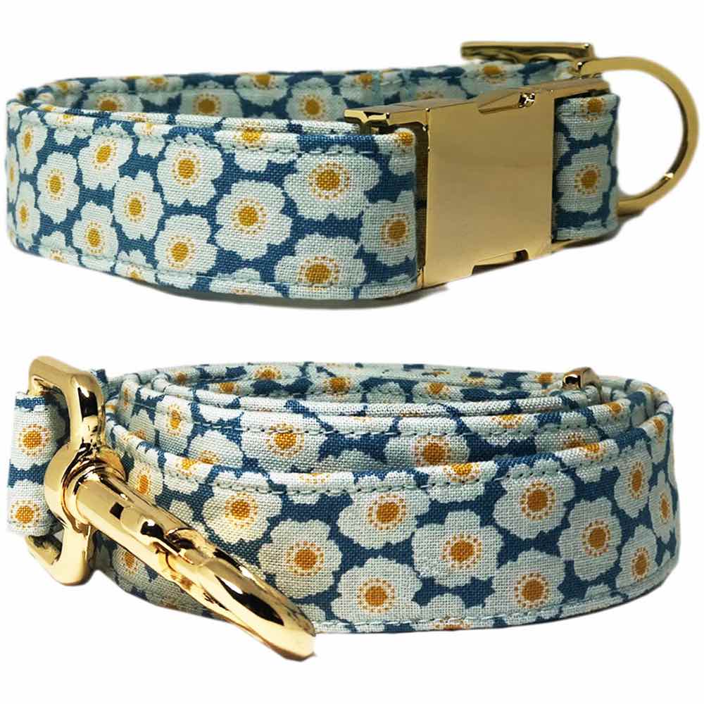 Pattefrenz Daisy Blue Gold Dog Collar Leash Set (Medium) Kohepets
