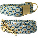 Pattefrenz Daisy Blue Gold Dog Collar & Leash Set (Medium)