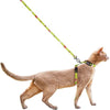 Pidan Harness & Leash Set For Cats (Red Cabby)