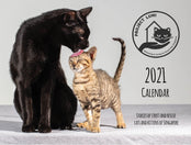 Project Luni Kitten Calendar 2021