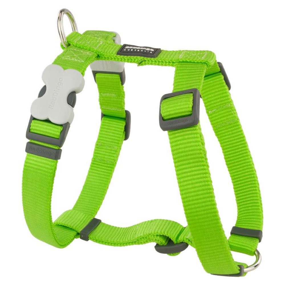 Red Dingo Classic Dog Harness 20mm Kohepets