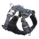 Red Dingo Padded Dog Harness (Small)