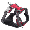 Red Dingo Padded Dog Harness (Extra-Small) - Kohepets