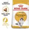 Royal Canin Norwegian Forest Cat Adult 2kg - Kohepets