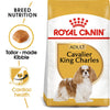 Royal Canin Breed Health Nutrition Cavalier King Charles 27 Dry Dog Food 1.5kg - Kohepets