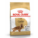 Royal Canin Breed Health Nutrition Cocker Spaniel Adult Dry Dog Food 3kg