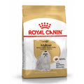 Royal Canin Breed Health Nutrition Maltese Dry Dog Food 1.5kg - Kohepets