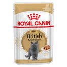 $11 OFF: Royal Canin Feline Breed Nutrition British Shorthair Adult Pouch Cat Food 85g x 12