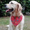 RuffCo Handcrafted Reversible Bandana For Cats & Dogs (Red Batik)