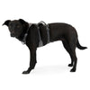 Ruffwear Flagline Lightweight No-Pull Handled Dog Harness (Granite Gray) - Kohepets